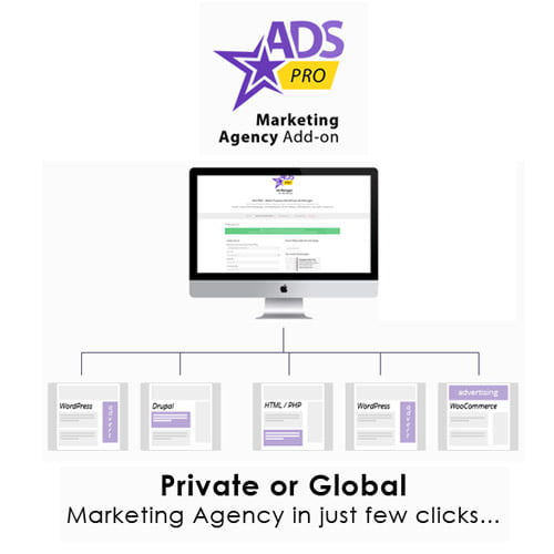 Ads Pro Add on WordPress Marketing Agency