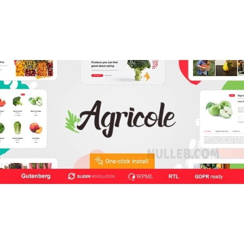 Agricole – Organic Food & Agriculture WordPress Theme