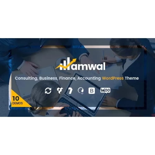 Amwal Nulled Consulting Finance WordPress Theme Free Download