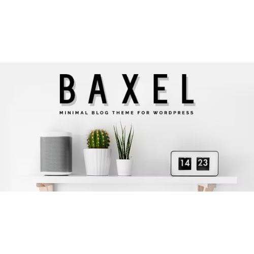Baxel Minimal Blog Theme for WordPress