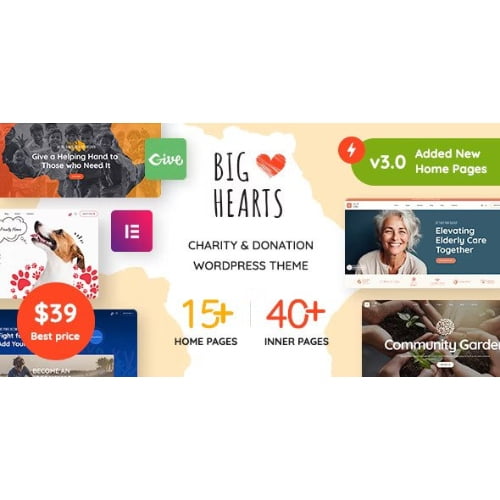 BigHearts Charity Donation WordPress Theme