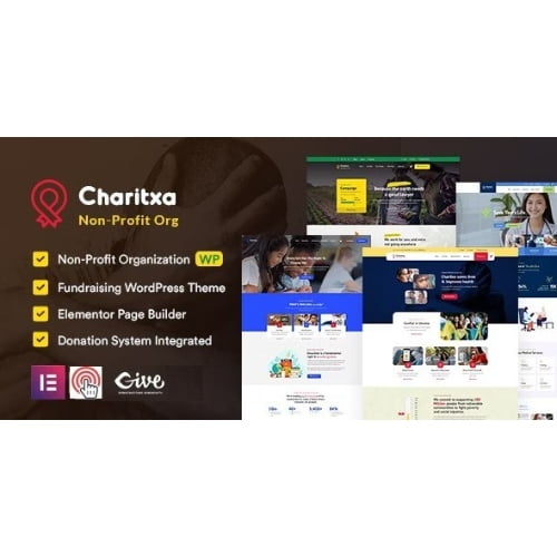 Charitxa Multipurpose Nonprofit WordPress Theme 1