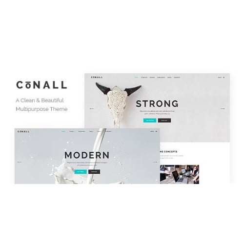 Conall Clean Multipurpose Theme