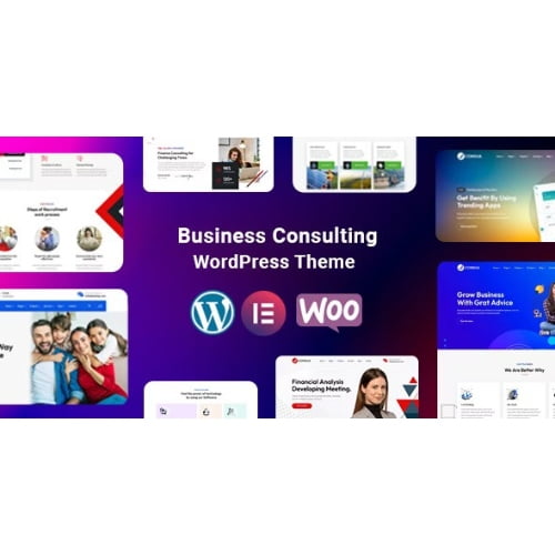 Consua Business Consulting WordPress