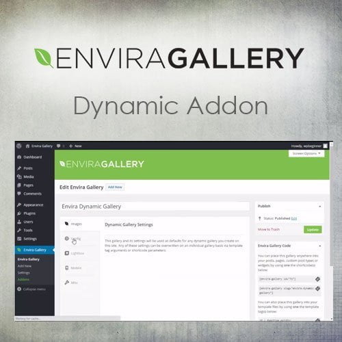 Envira Gallery – Dynamic Addon