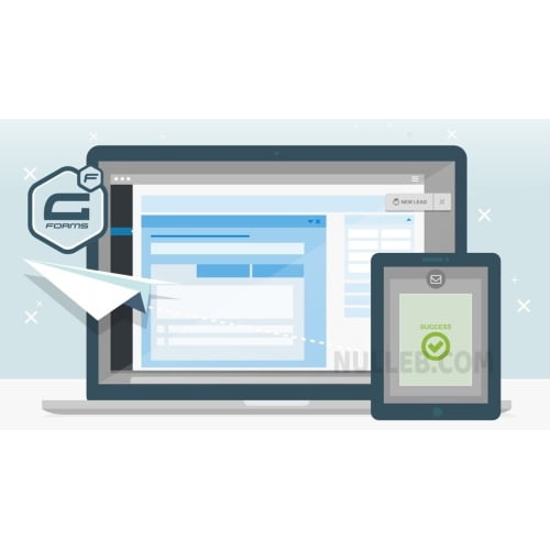 Gravity Forms WordPress Plugin