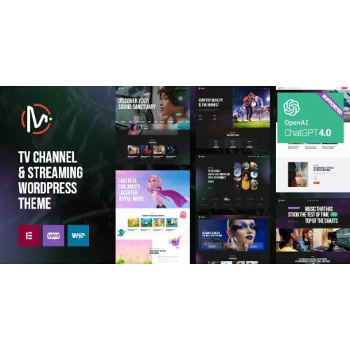 MediaFlex TV Channel Streaming WordPress Theme