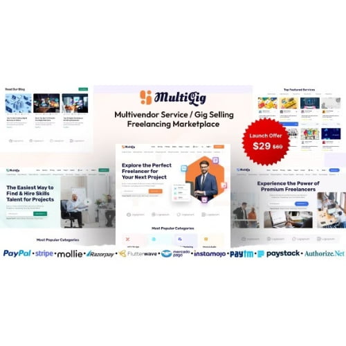MultiGig Service Gig Selling Freelancing Marketplace Subscription Based