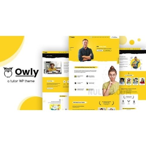 Owly Tutoring eLearning WP Theme