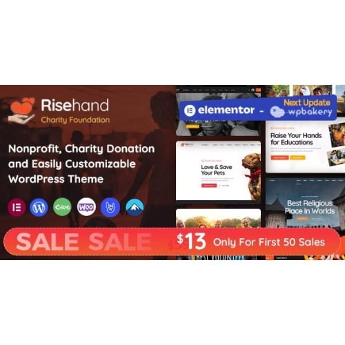 RiseHand – Charity & Donation WordPress Theme