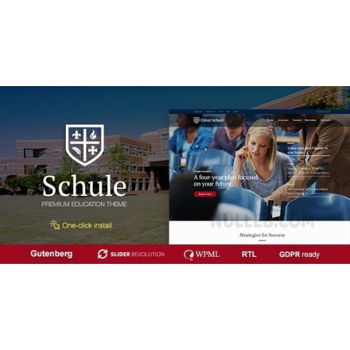 Schule School Education Theme