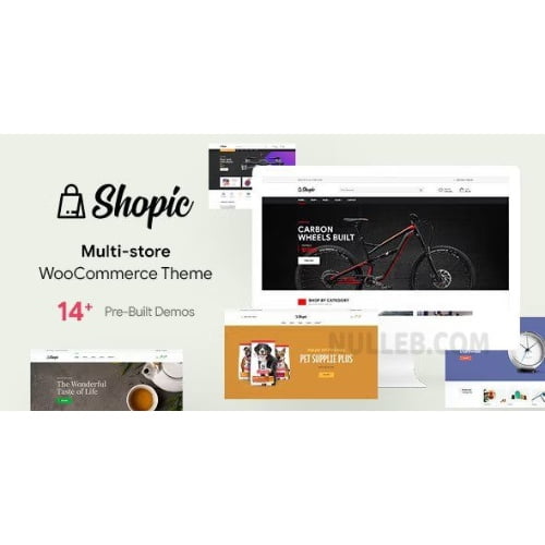 Shopic Multistore WooCommerce WordPress Theme