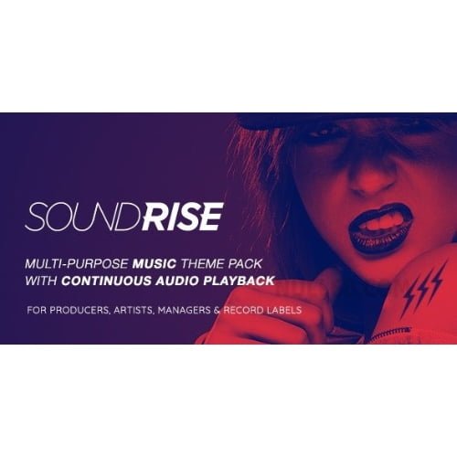SoundRise Artists Producers and Record Labels WordPress Theme