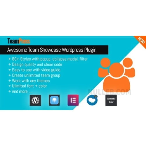 TeamPress Team Showcase plugin