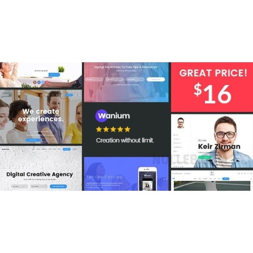 Wanium A Elegant Multi Concept Theme