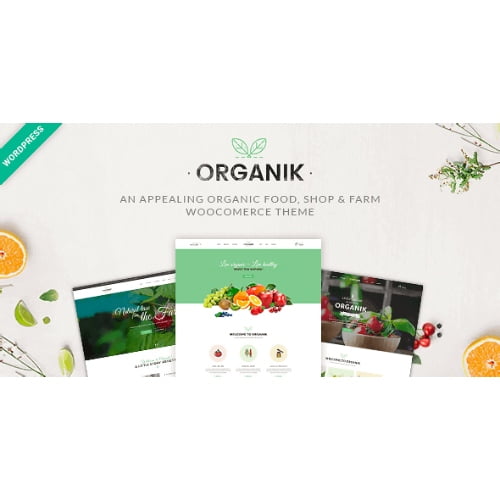 Organik – Organic Food Store WordPress Theme