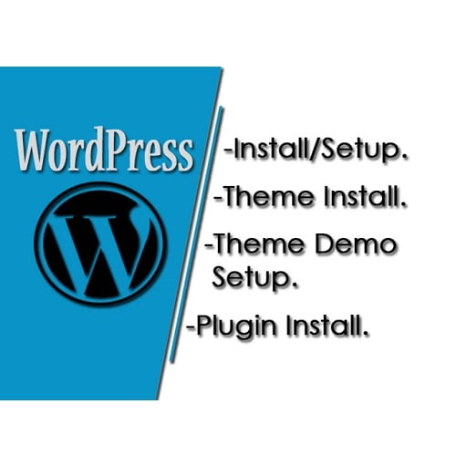 wordpress theme plugin demo install support